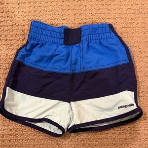Patagonia Navy and White Colorblock Shorts
